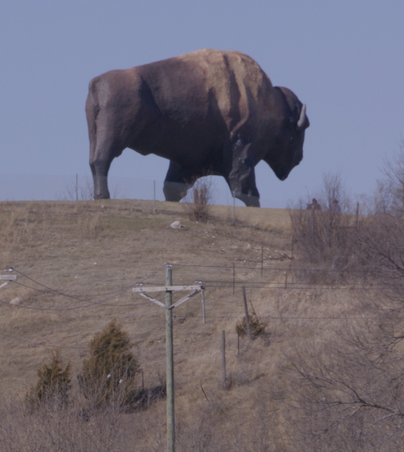 The World's Largest Buffalo monument on a hilltop in Jamestown, North Dakota